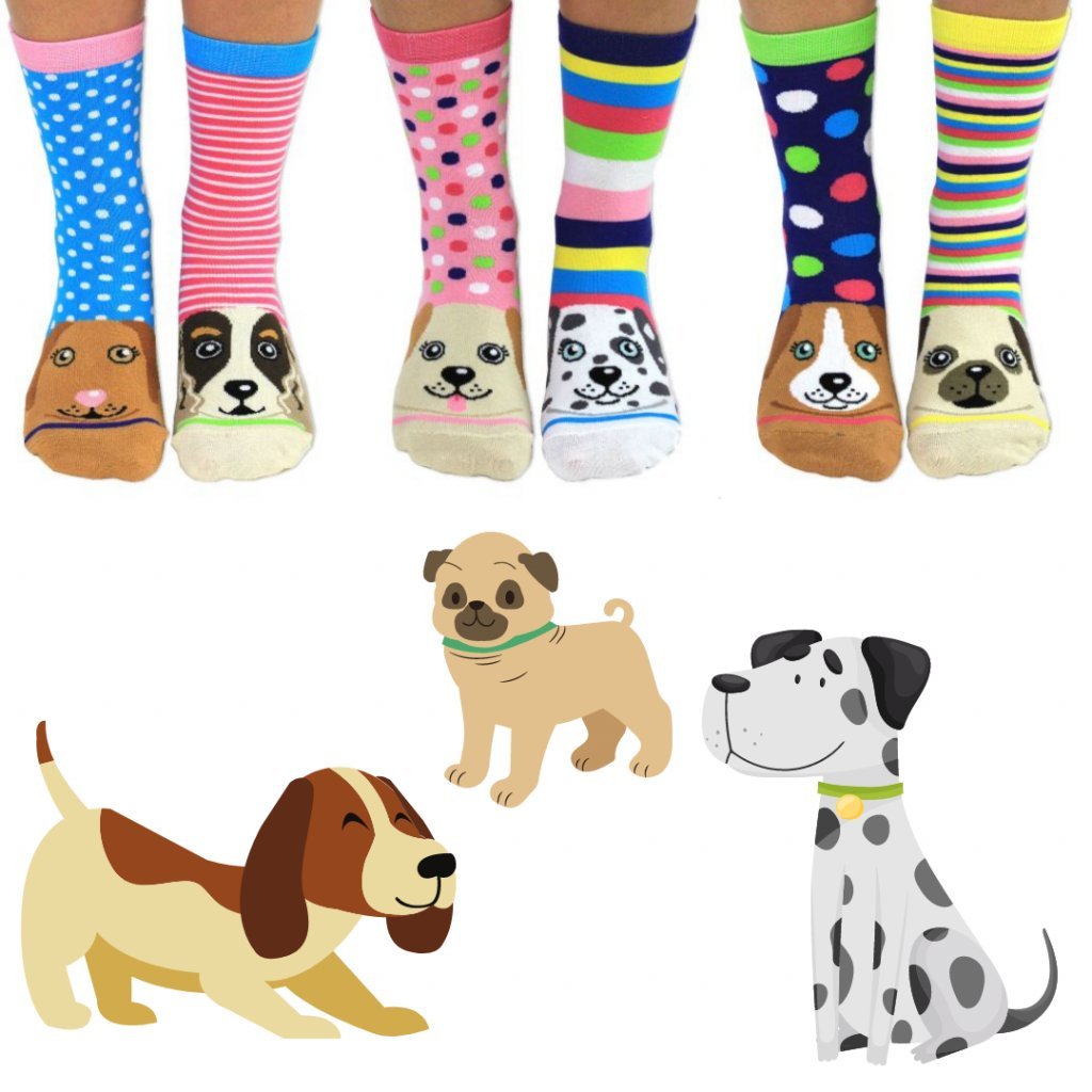 Vesele damske ponozky pro milovnice psu pawsome united oddsocks