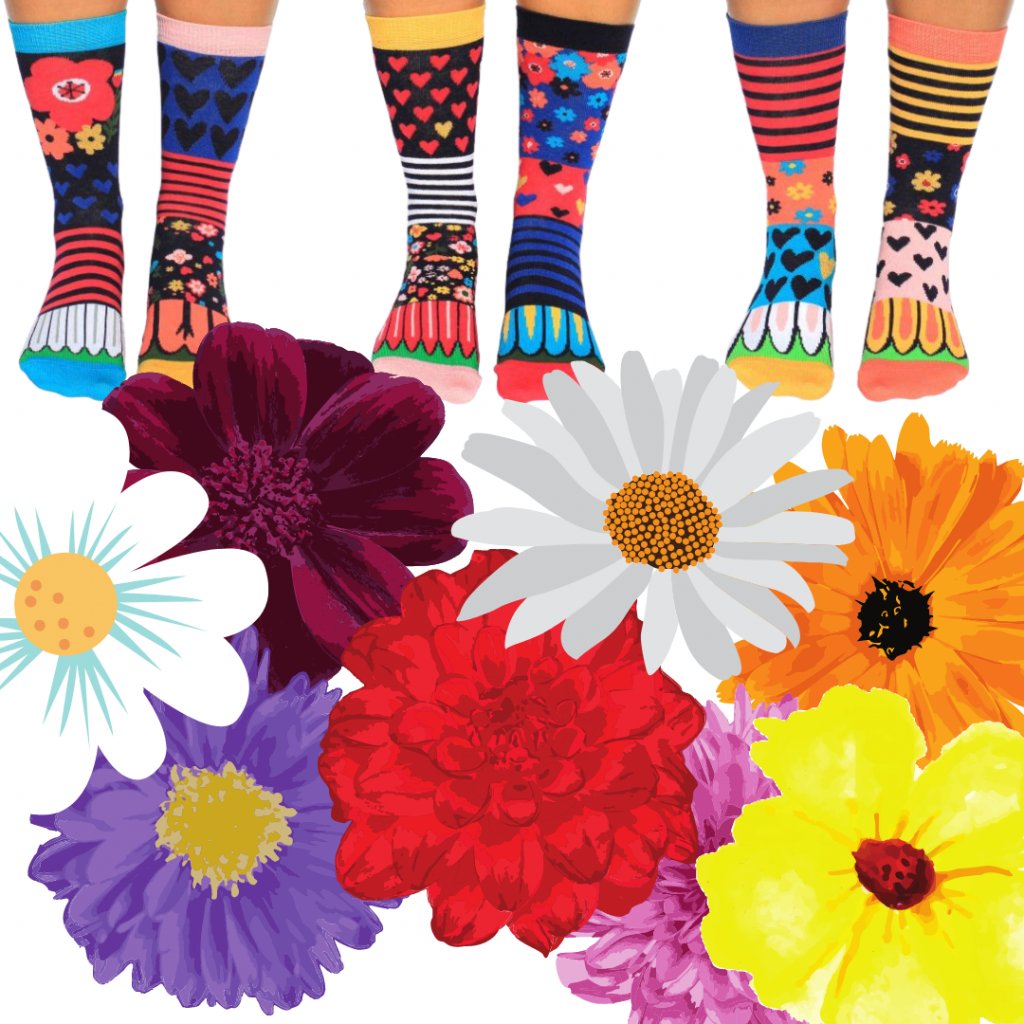Barevne vesele ponozky pro damy s kvetinama